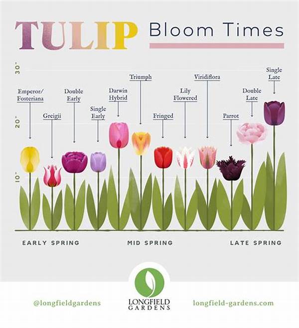 Optimal Season For Tulip Blooms