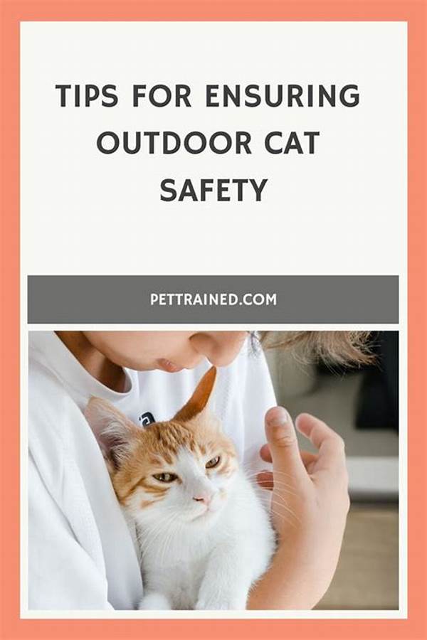 Optimizing Outdoor Cat Safety Through Design