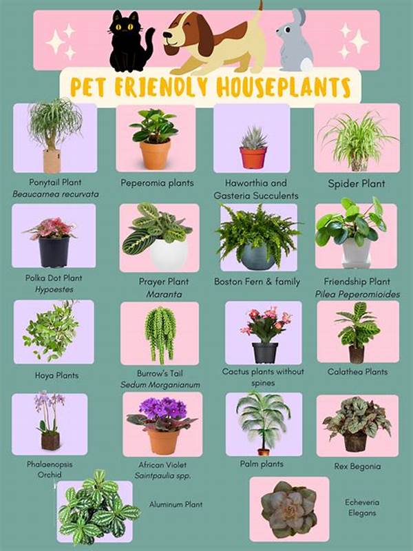 Pet-friendly Flowering Houseplants