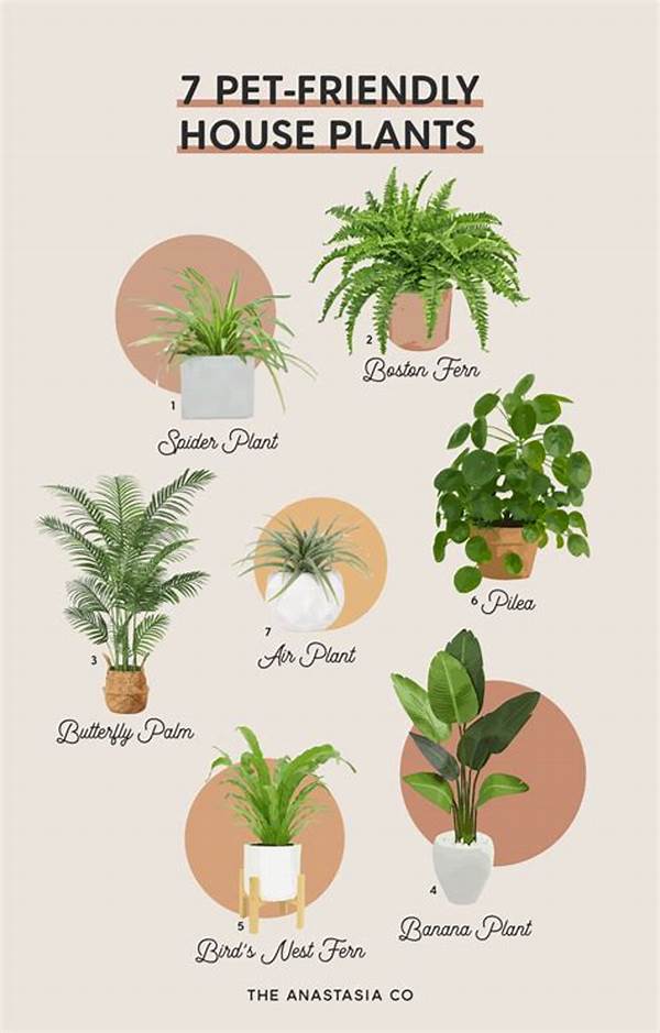 Pet-friendly Indoor Plant Combinations