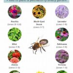 Pollinator-friendly Plant Selections