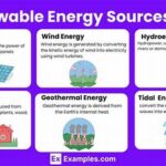 Renewable Resource Floral Suppliers