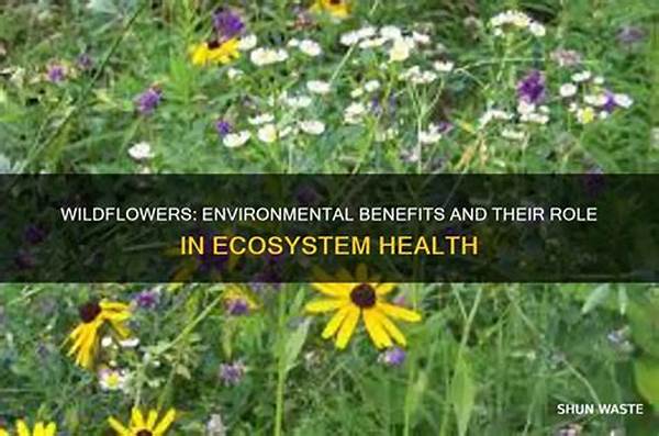 Role Of Wildflowers In Soil Health