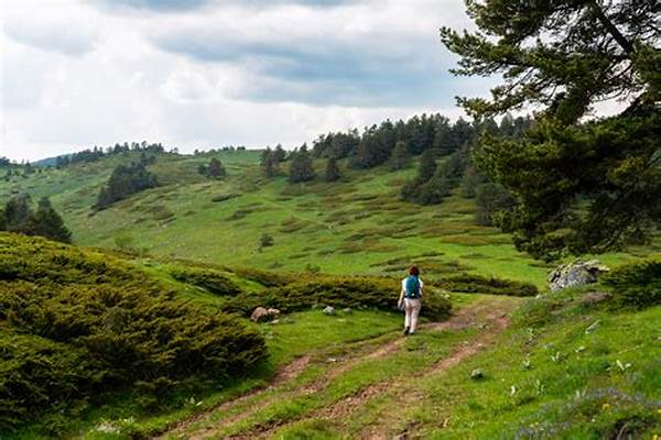 Scenic Guided Nature Trail Routes