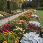 Seasonal Flowers For Continuous Beauty