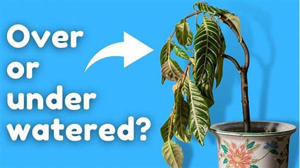Signs Of Overwatered Flower Plants