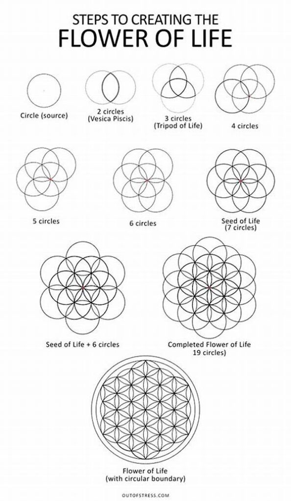 Techniques To Prolong Flower Life
