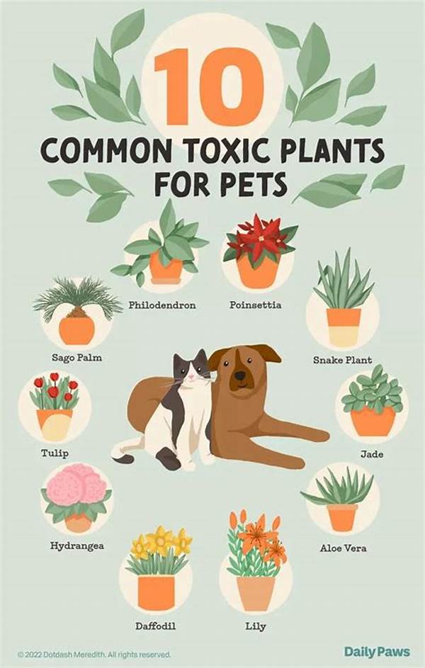 Toxic-free Garden Blooms For Pets