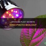 Unveiling Plant Life Variety