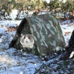 Camouflage Cat Houses For Outdoors