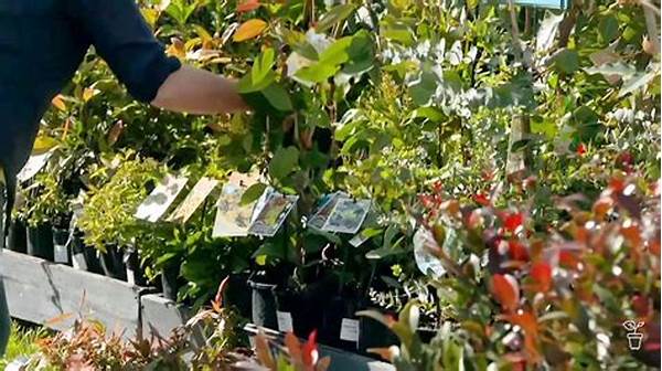 Choosing Plants For Spring Gardens