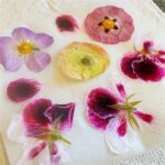 Creative Flower Pressing Projects