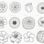 Engaging Flower Drawing Exercises