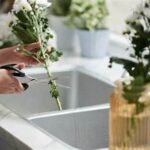 Extend Bouquet Freshness Tips
