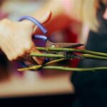 How To Maintain Bouquet Freshness