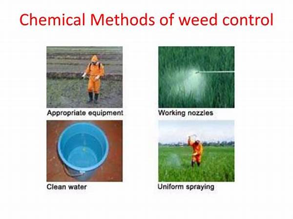 Non-toxic Approaches To Weed Control