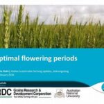 Optimal Nutrient Management For Flowering Periods
