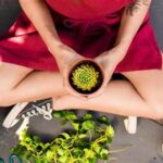 Organic Gardening Solutions For Pets