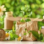 Renewable Resources For Packaging Flowers