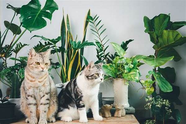 Safe Houseplant Choices For Cat Owners