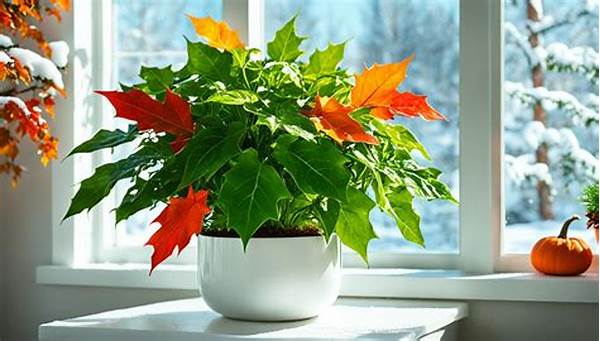 Seasonal Plant Care Routines