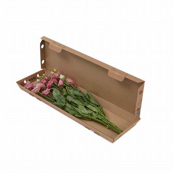 Sustainable Flower Packaging Solutions