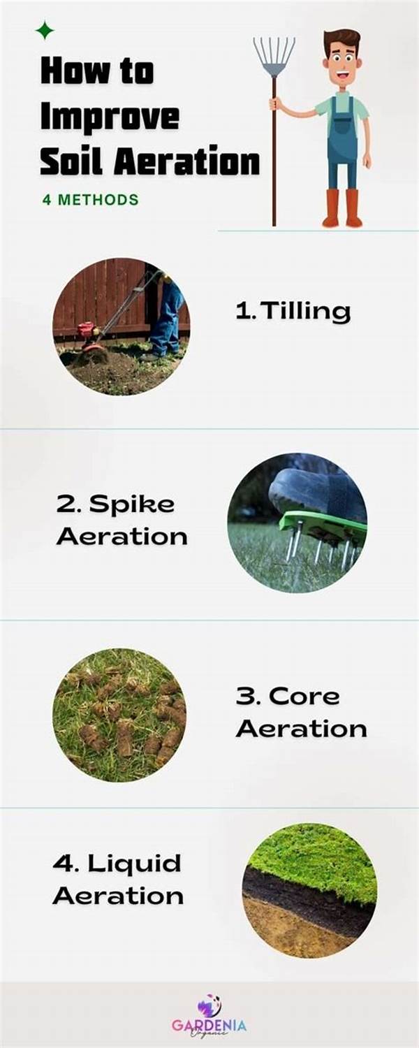 Ways To Improve Soil Aeration